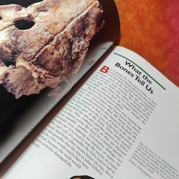🍄SEARCHING FOR VELOCIRAPTOR Book - Picture 5 of 6